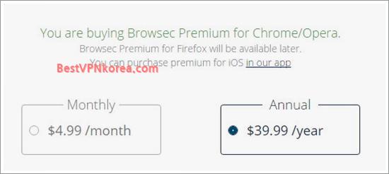VPN Browsec 유료 가격