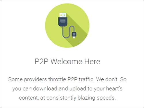 p2p 토렌트 사용 가능한 해외 유료 VPN